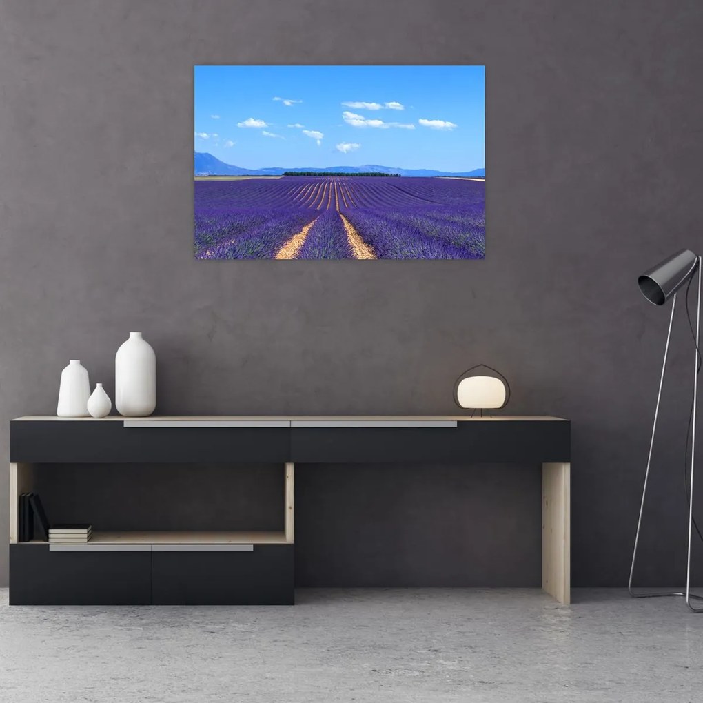 Tablou - Câmp de lavandă (90x60 cm)