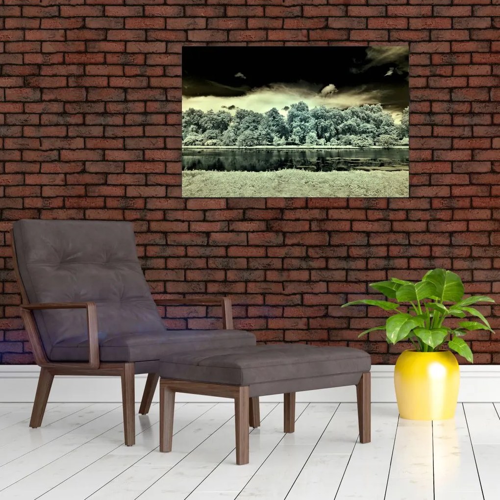 Tablou suprafeței de apă (90x60 cm)