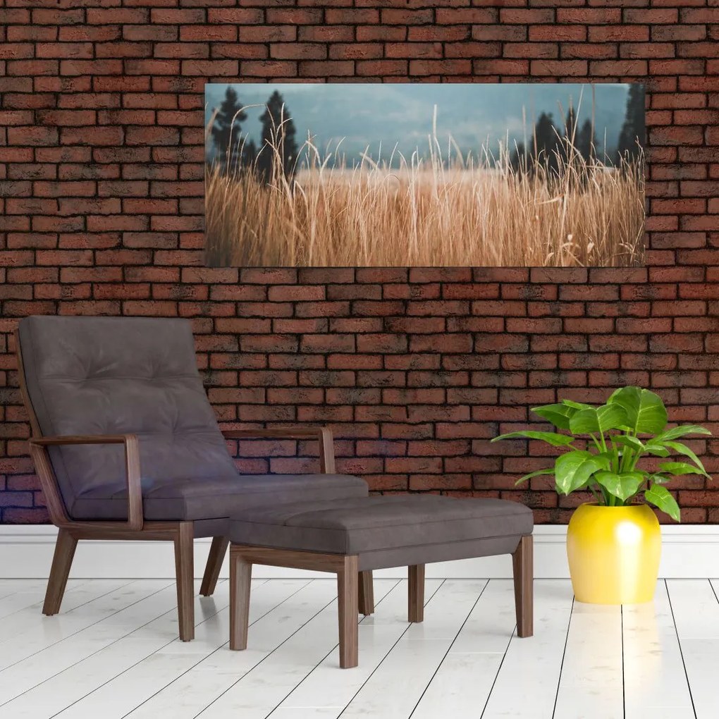 Tablou - detaliu spațiului de luncă (120x50 cm)