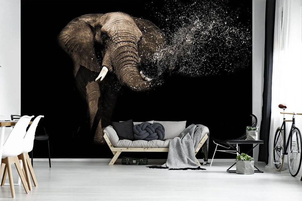 Fototapet - Elefant (152,5x104 cm)