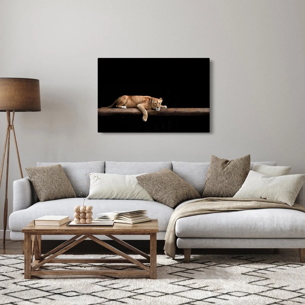 Tablou - Lioness (90x60 cm)