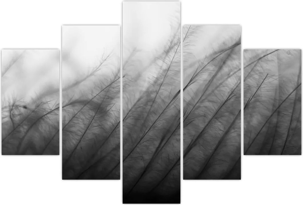 Tablou - Iarba în vânt (150x105 cm)