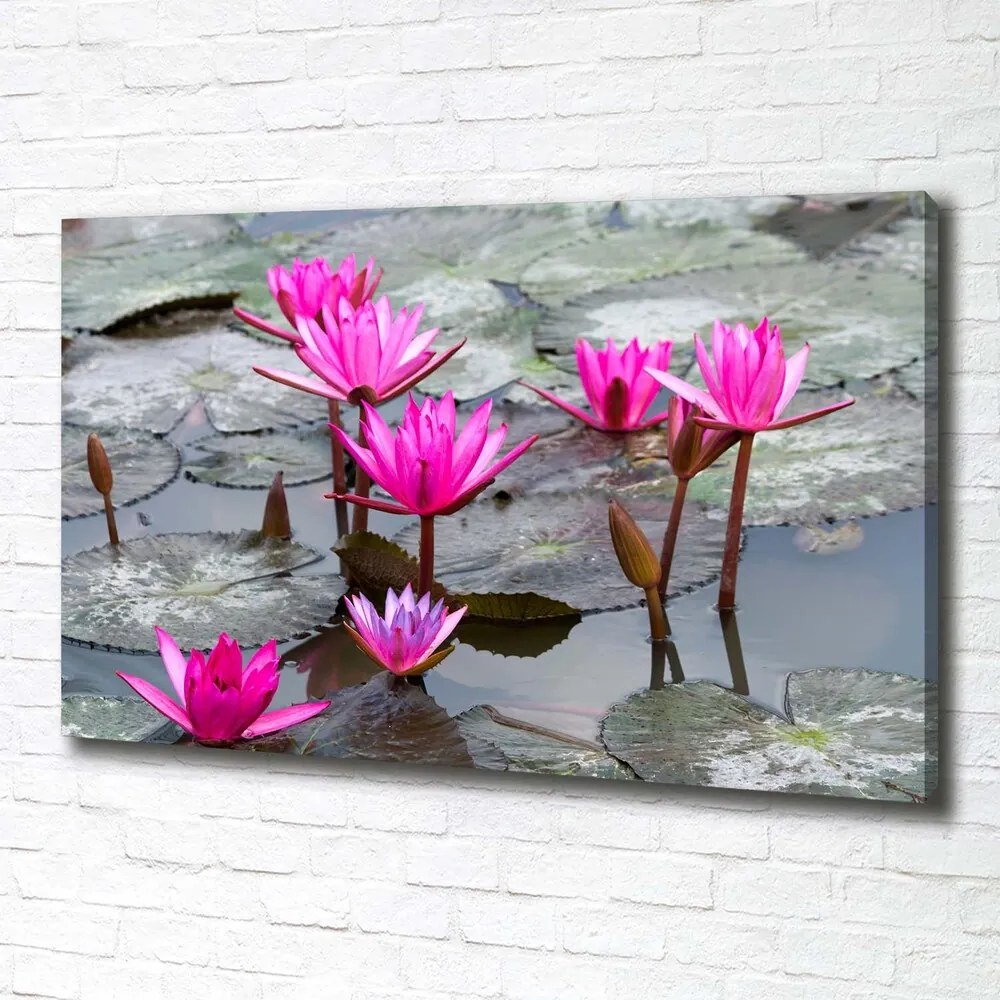 Print pe canvas Floare de lotus