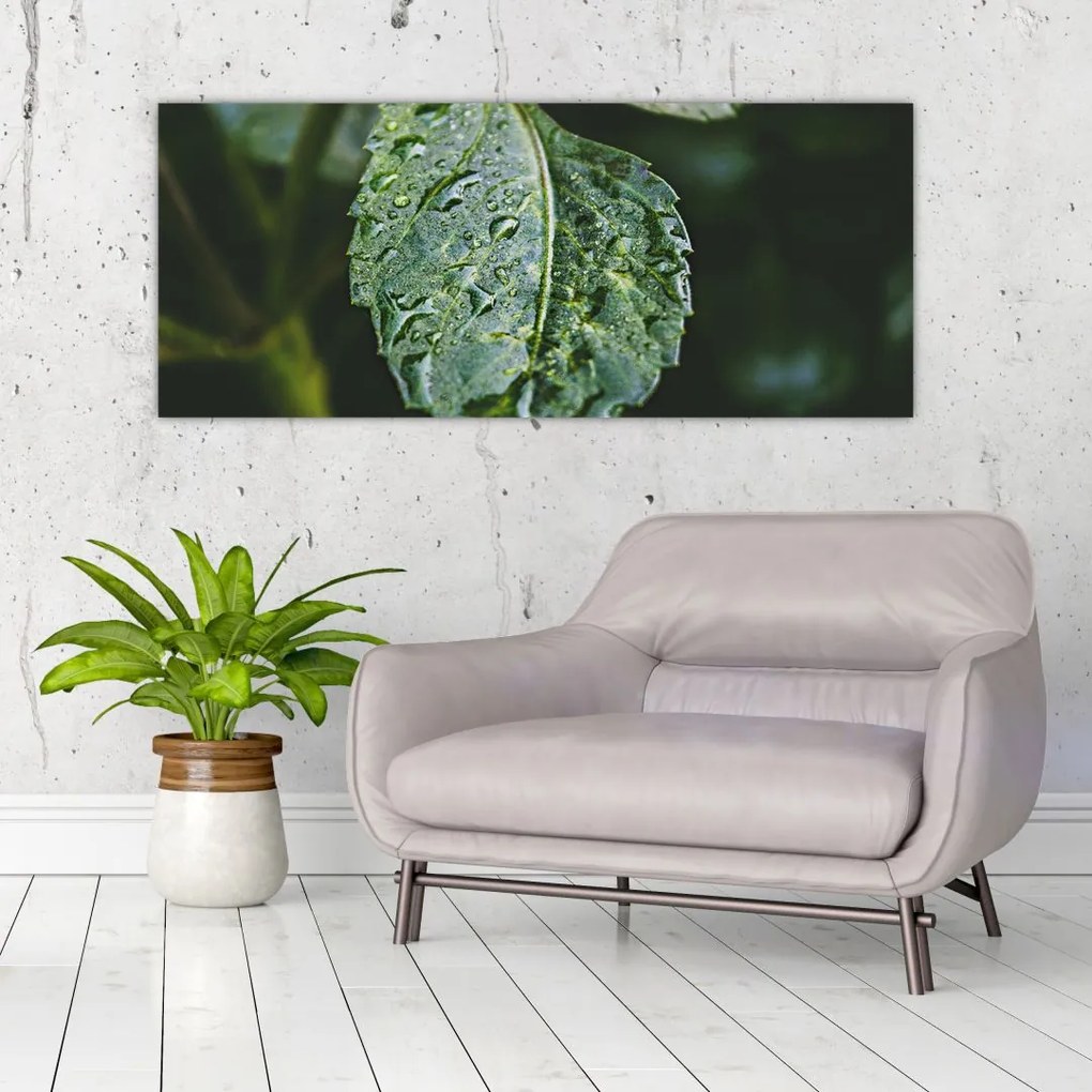 Tablou - picături pe frunză (120x50 cm)
