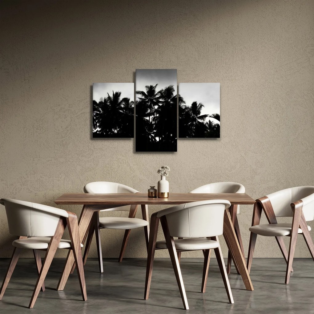 Tablou alb negru - palmieri (90x60 cm)