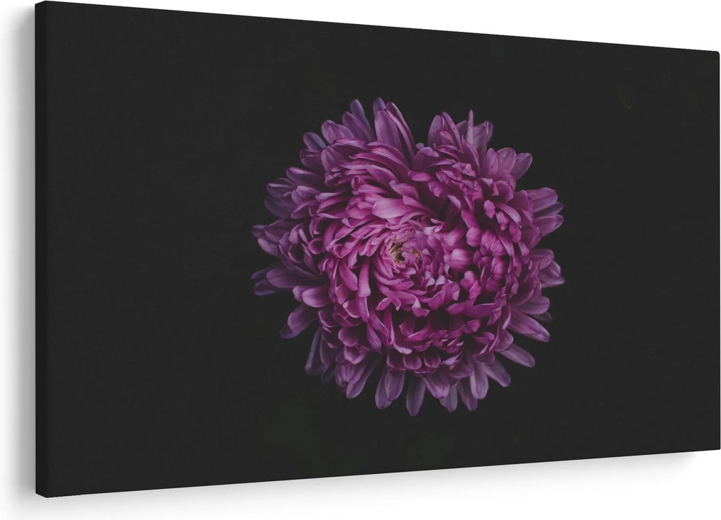 Tablou cu floare violetă (90x60 cm)