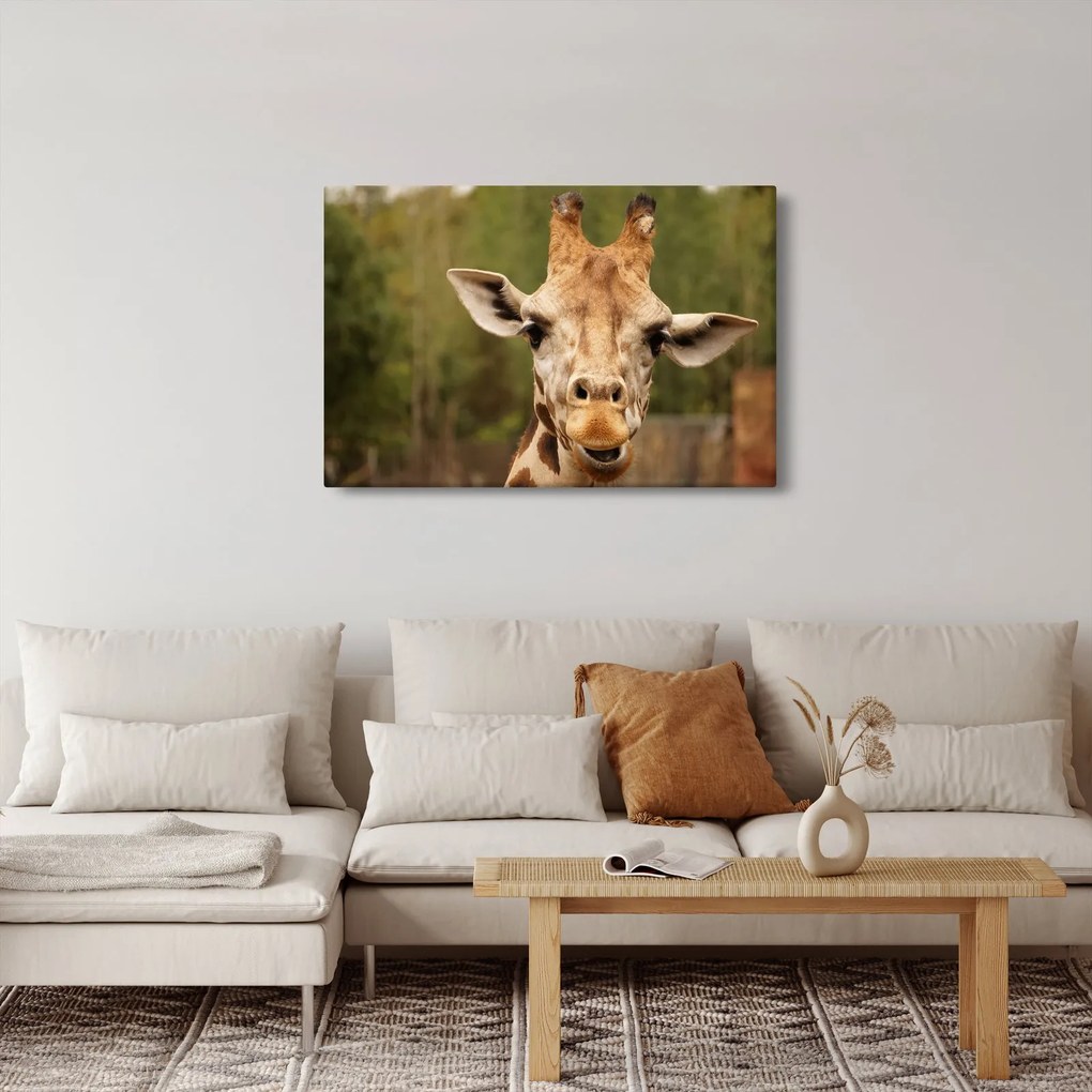 Tablou girafe (90x60 cm)