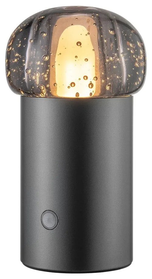 Corp de iluminat pentru exterior LED portabil cu intensitate reglabilă cu USB ø 10 cm Iris – Blomus