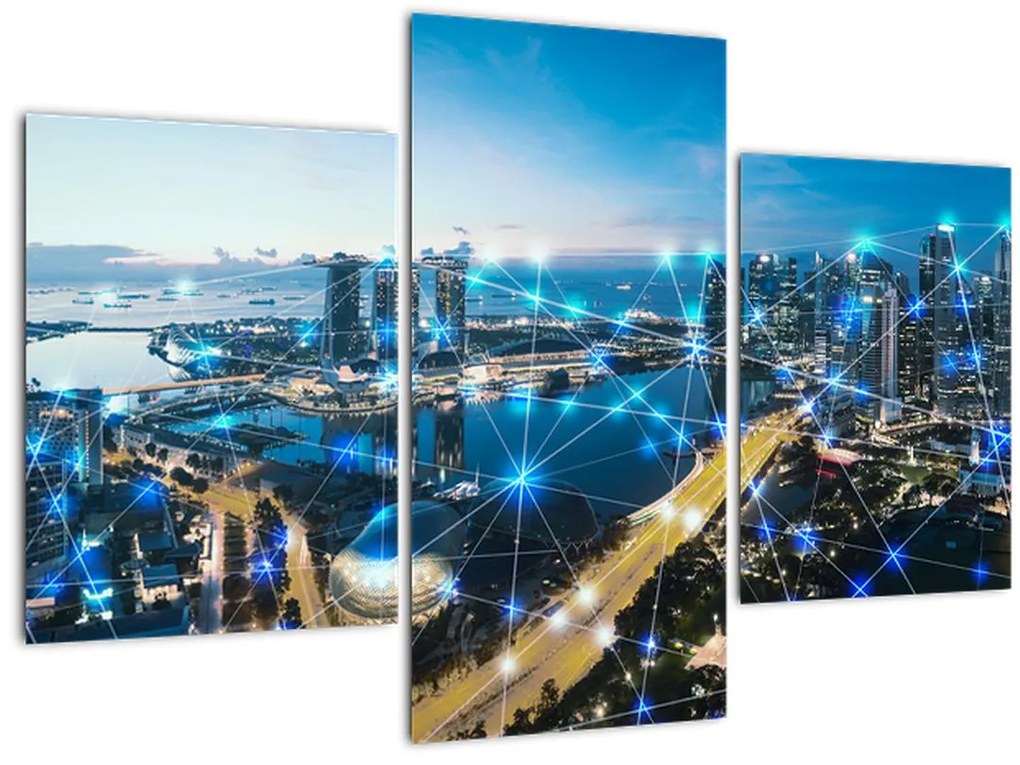 Tablou - Rețeaua orașului (90x60 cm)