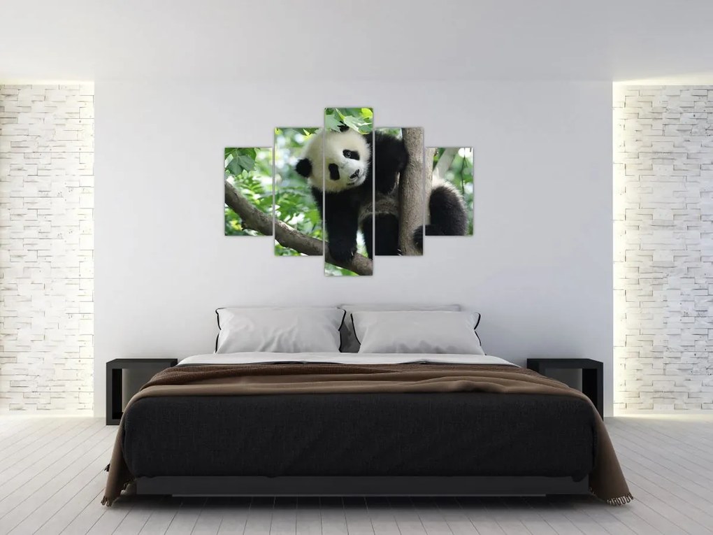 Tablou - Panda in copac (150x105 cm)