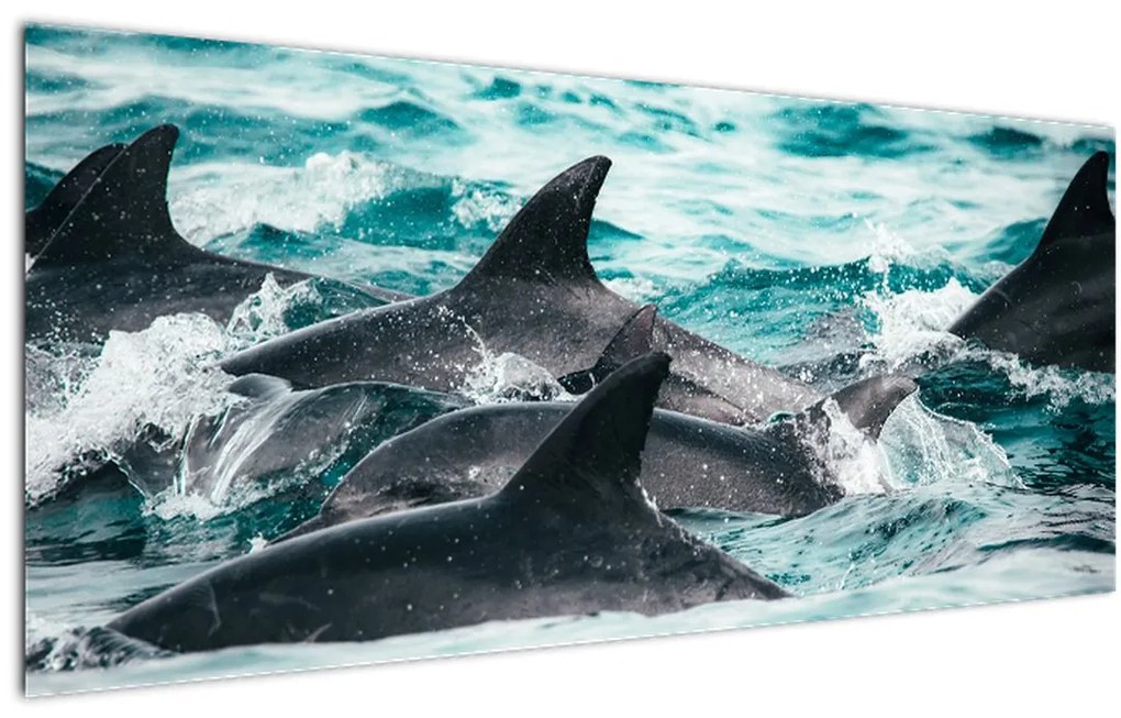 Tablou - Delfini în ocean (120x50 cm), în 40 de alte dimensiuni noi