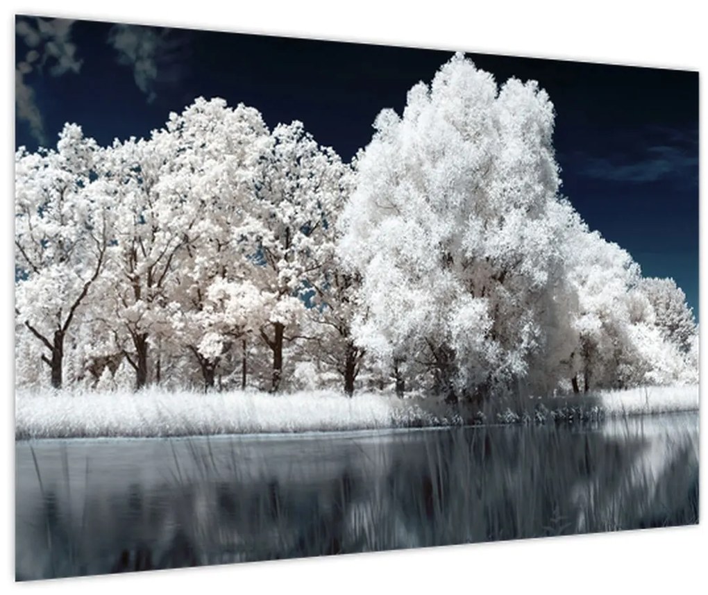 Tablou - Albă ca Zăpada Albă ca Zăpada Copaci (90x60 cm)