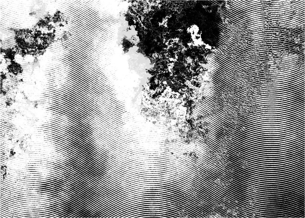 Tablou - Eclozare (70x50 cm)
