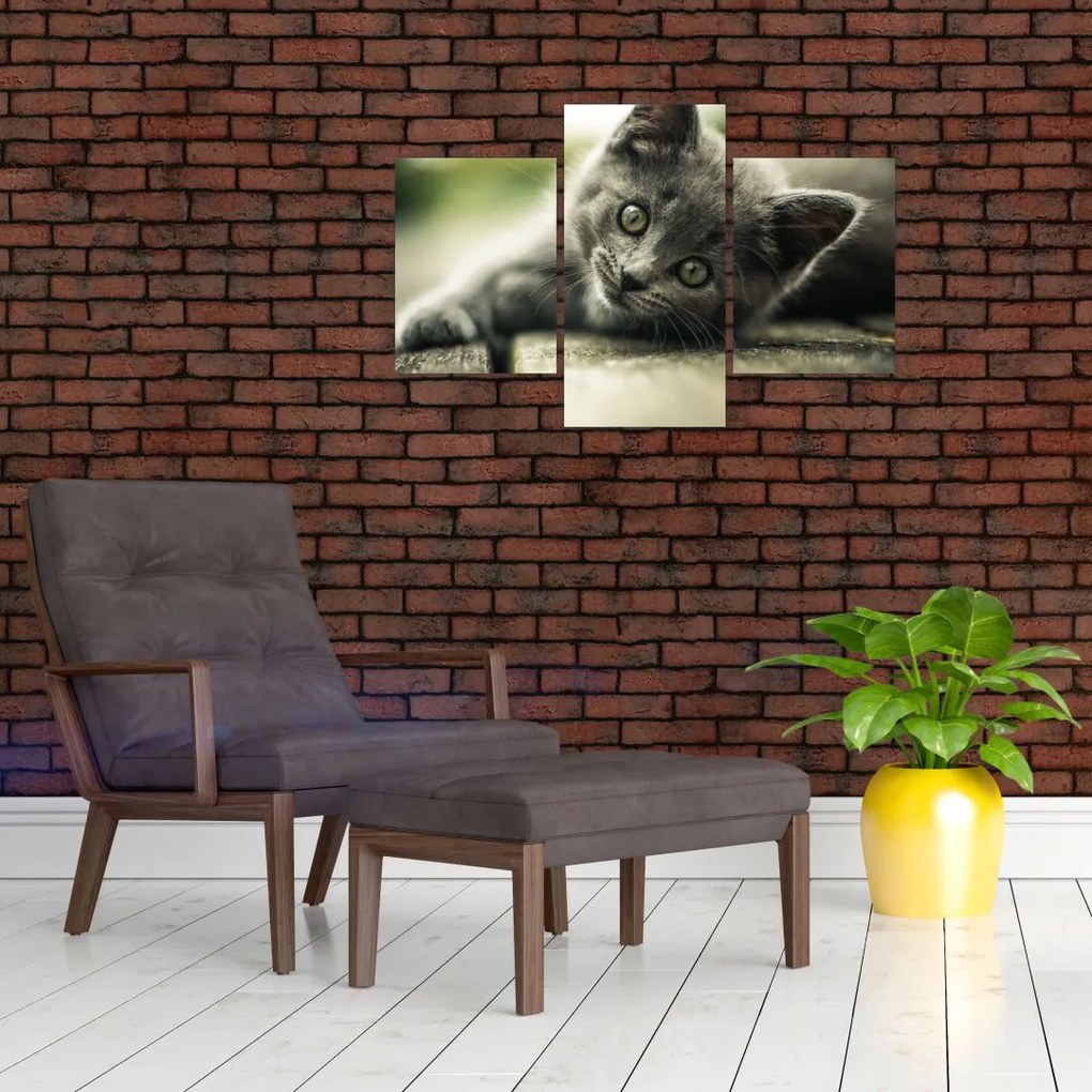 Tablou cu pisicuța (90x60 cm)