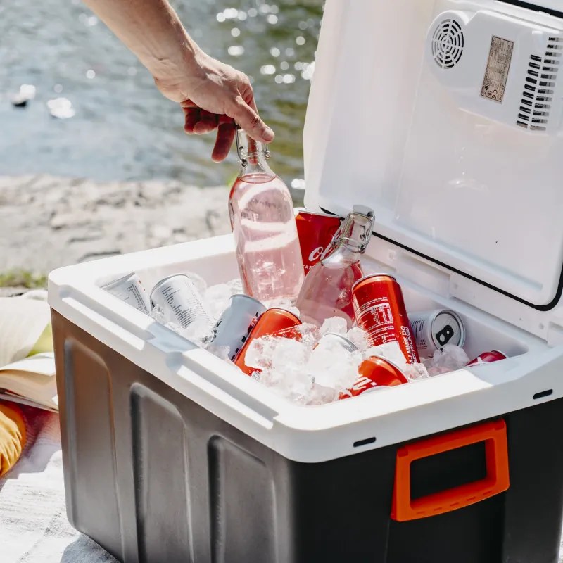 Lada frigorifica Adler AD 8090, 40 l, 58 W, 12/220/240V, Clasa climatica N, Izolatie C5H10, Gri