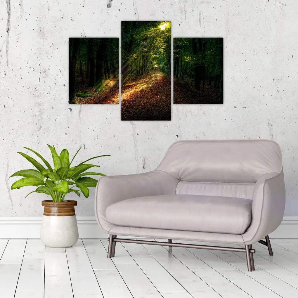 Tablou cu poteca prin pădure (90x60 cm)