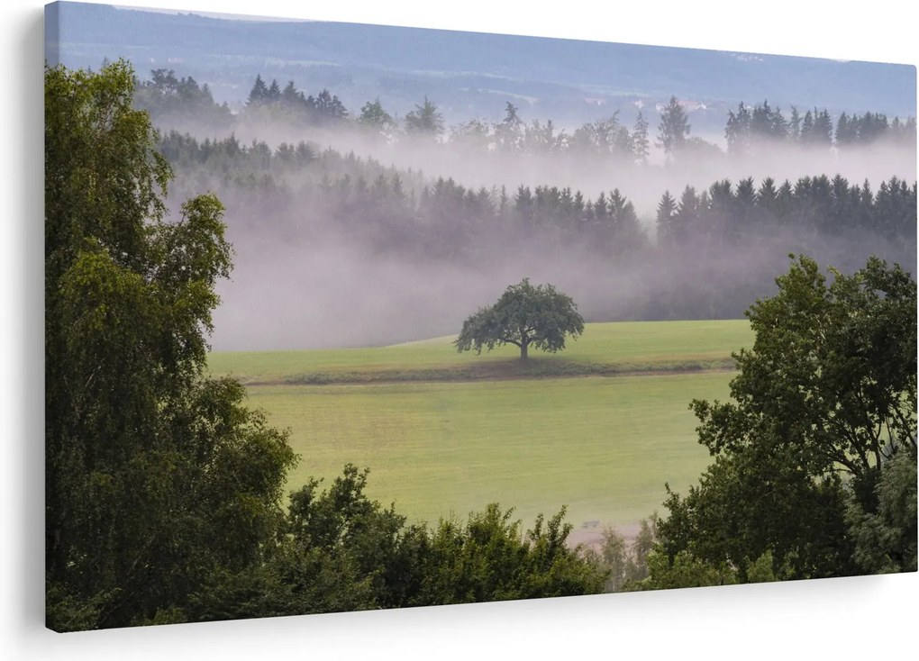 Tablou - Lunca cu copac (90x60 cm)