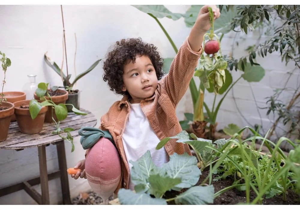 Pernă pentru copii Ramona the Radish – Lorena Canals
