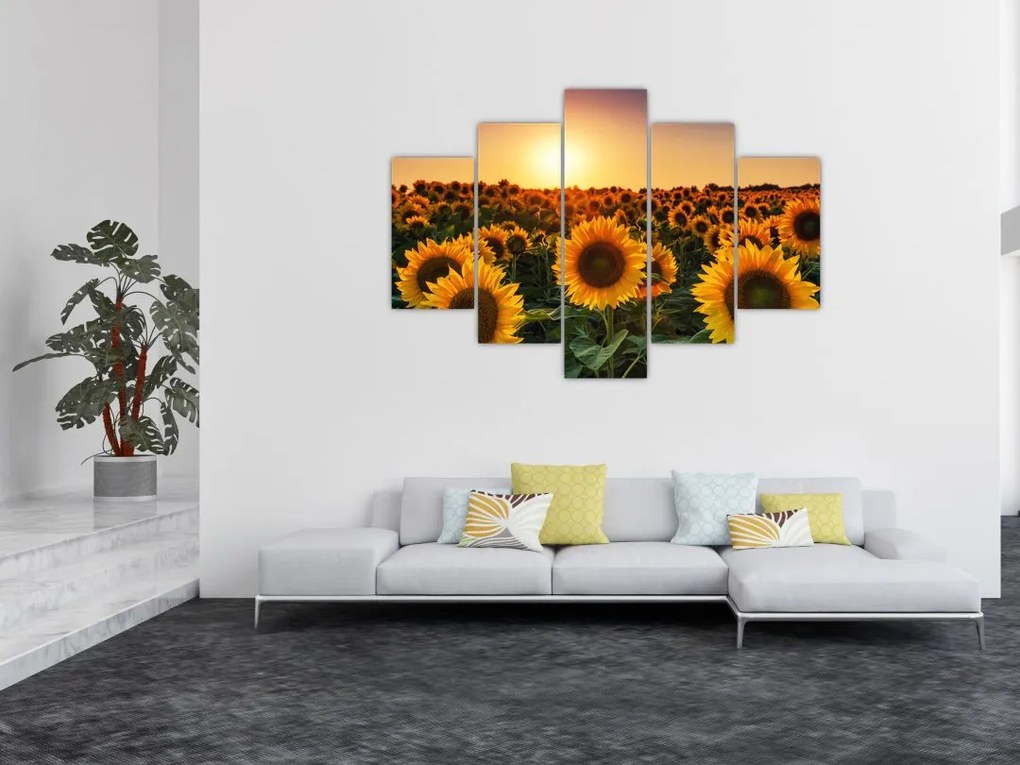 Tablou - Floarea soarelui (150x105 cm)