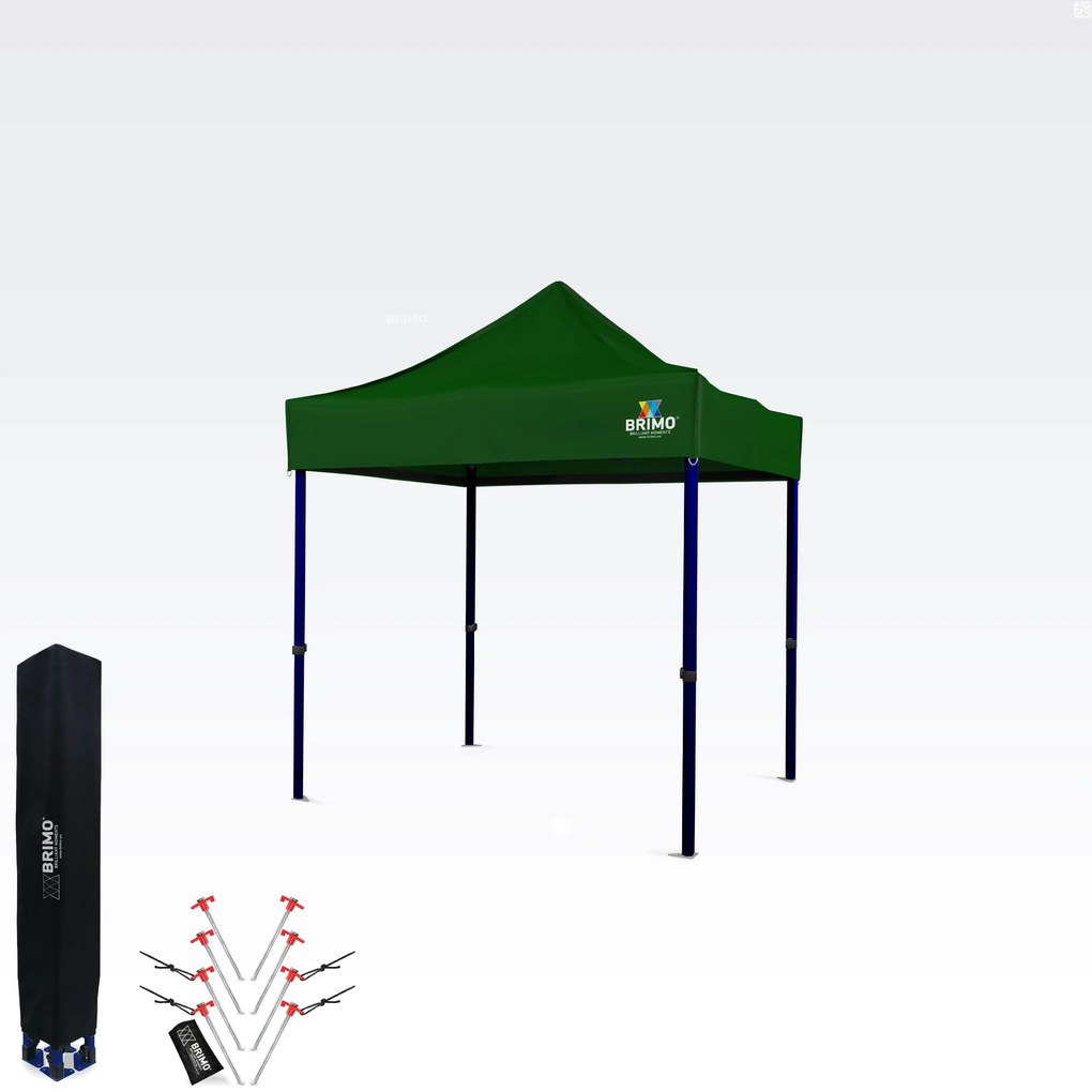 Cort pliabil 2x2m - Verde