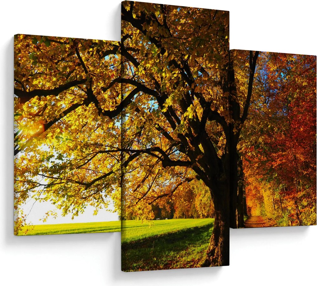 Tablou cu toamna (90x60 cm)