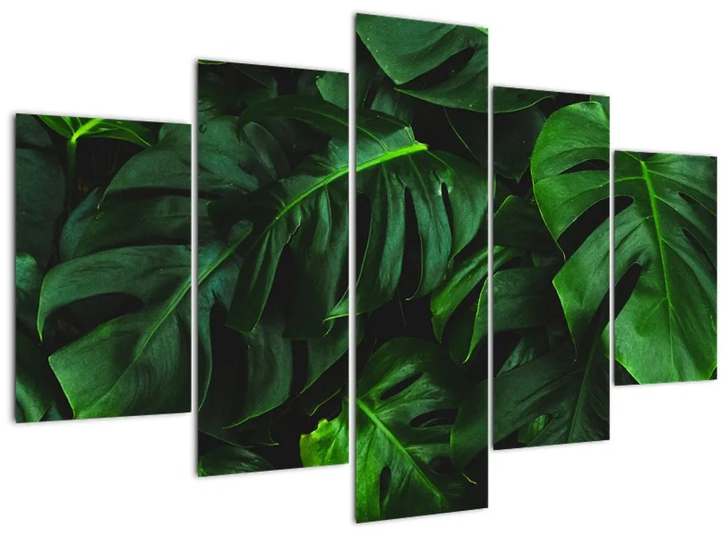 Tablou cu frunze Monstery (150x105 cm)