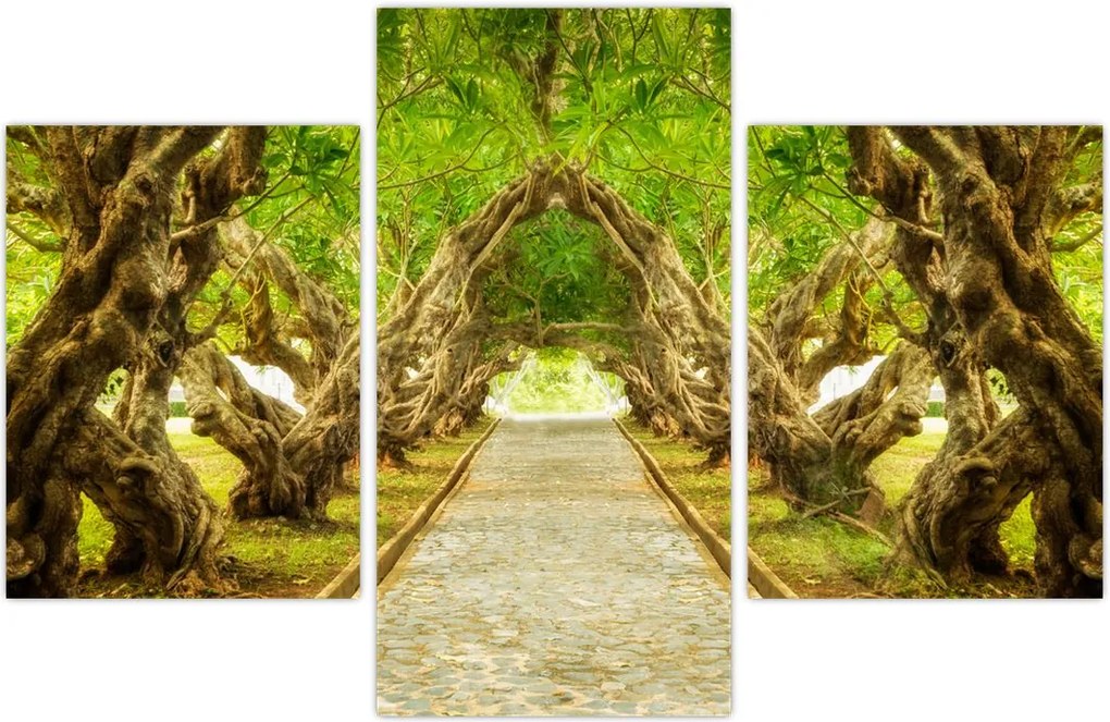 Tablou - Tunel viu din plumeria (90x60 cm)