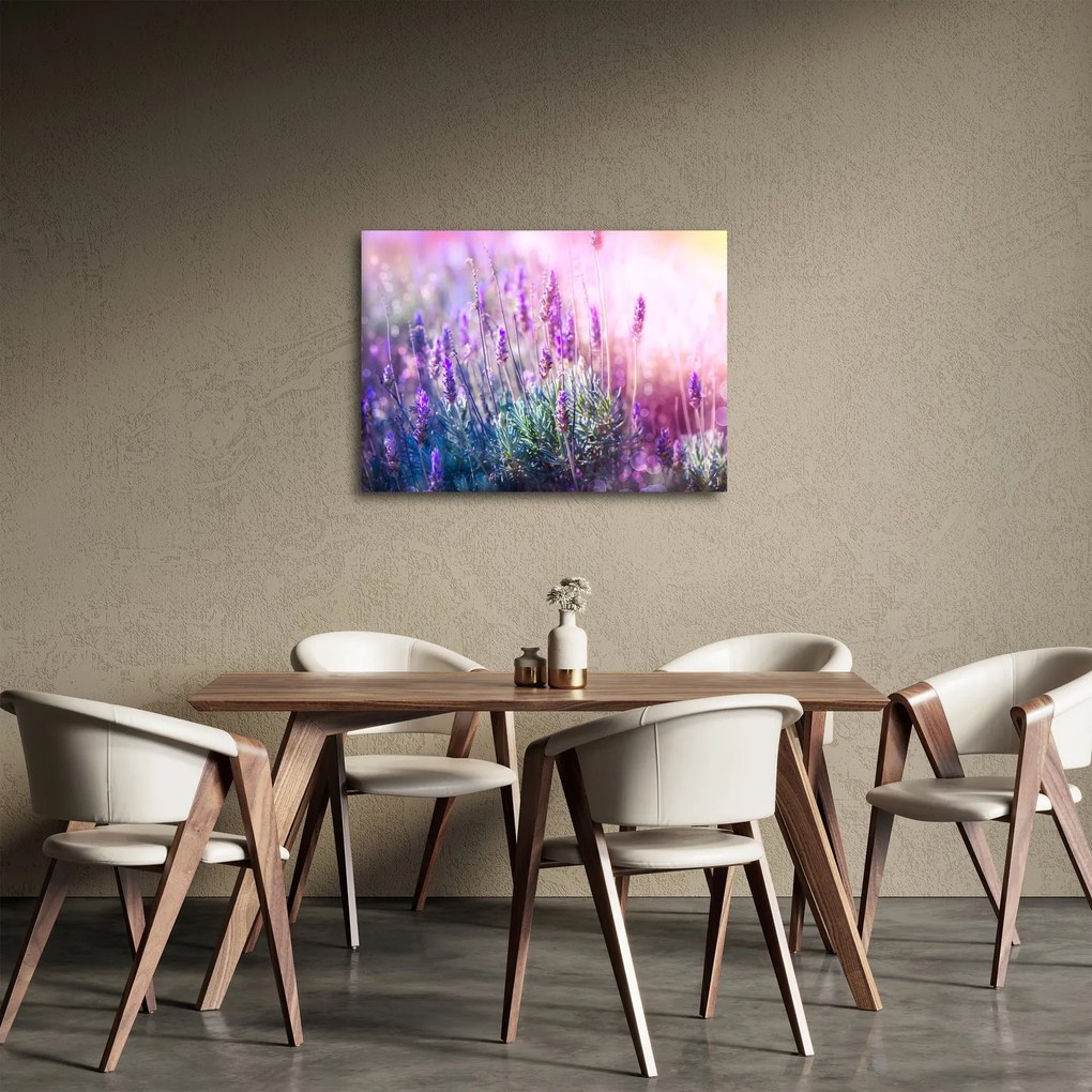 Tablou - Lavandă în strălucirea soarelui (70x50 cm)