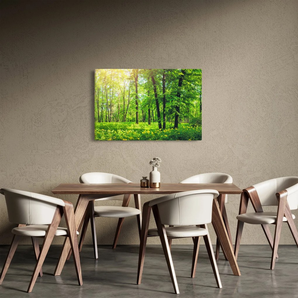 Tablou - Pădurea cu frunze de primăvară (90x60 cm)