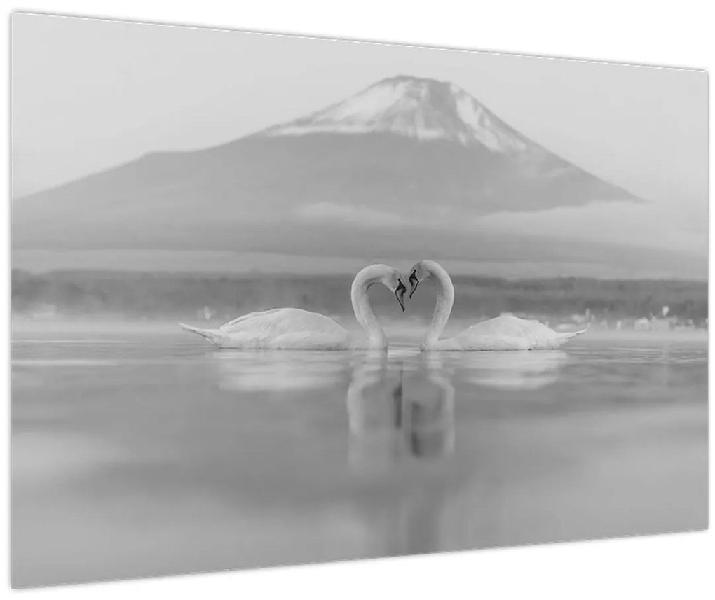 Tablou - Lebede îndrăgostite (90x60 cm)