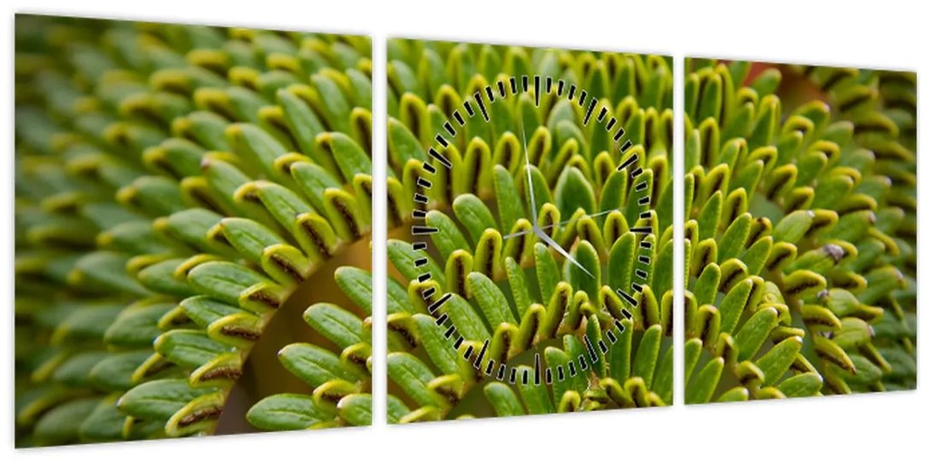 Tablou - Fern (cu ceas) (90x30 cm)