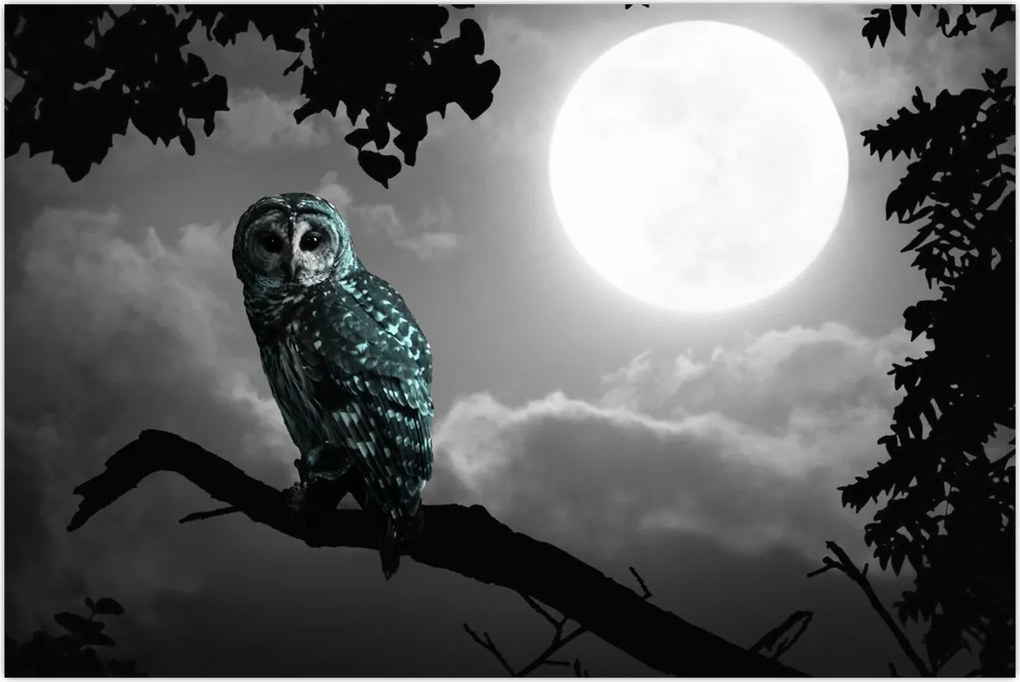 Tablou - Bufniță de noapte, albastru (90x60 cm)