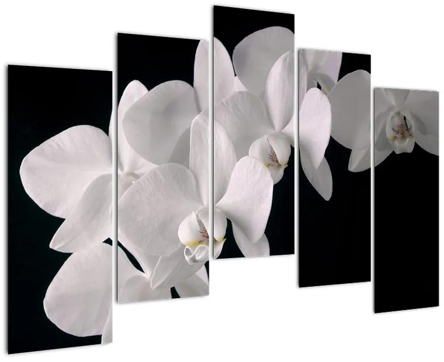 Tablou - orhidee albă (125x90cm)