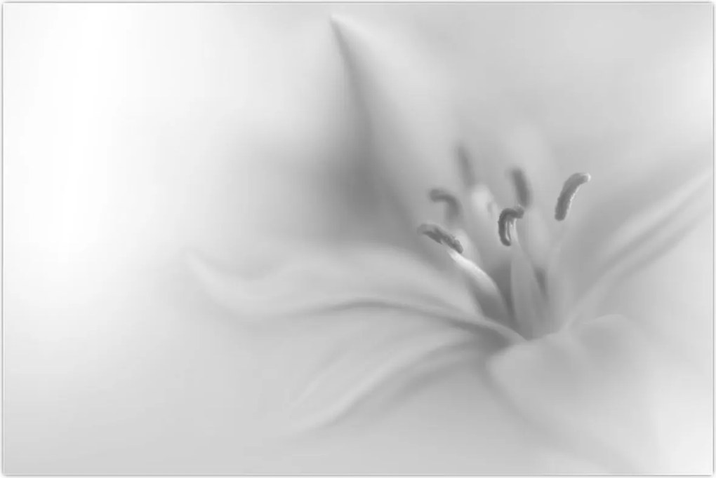 Tablou - Crin delicat (90x60 cm)