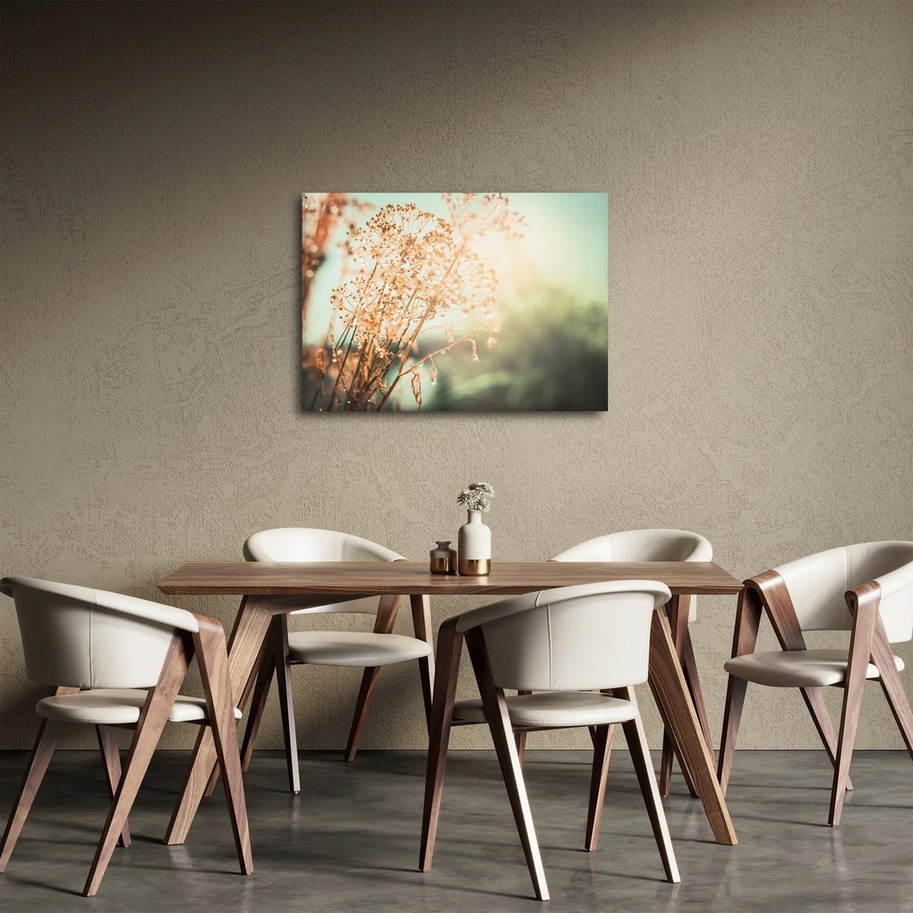 Tablou - Plante după ploaie (70x50 cm)