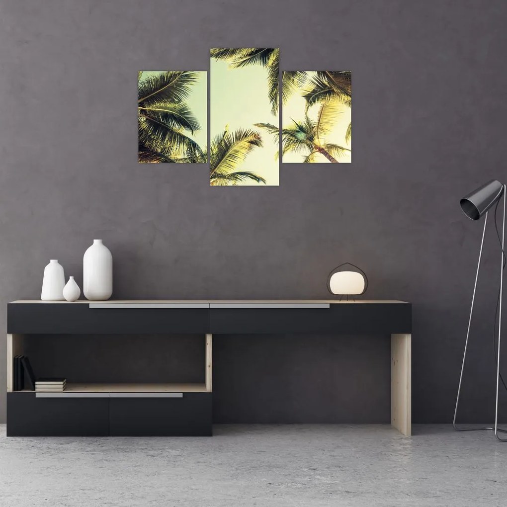 Tablou - Palmieri de cocos (90x60 cm)