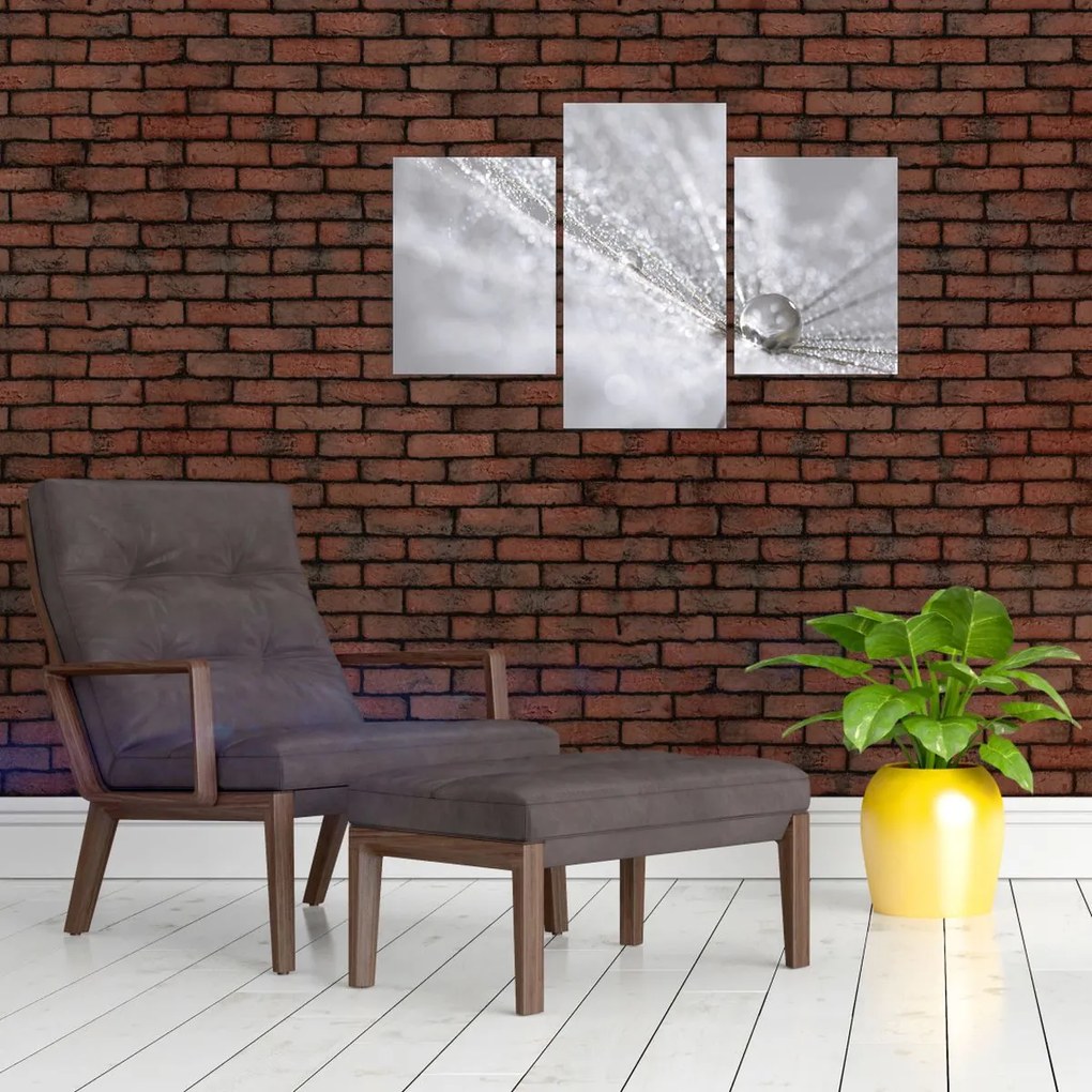 Tablou - Picătură de apă (90x60 cm)