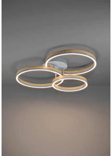 Lustră LED dimabilă aplicată Eglo 39895 CADINARO LED/12,5W/230V + 2xLED/15,5