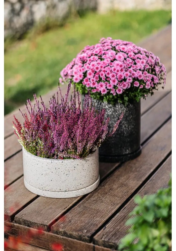 Ghiveci gri închis ø 34 cm Terrazzo - Bonami Selection
