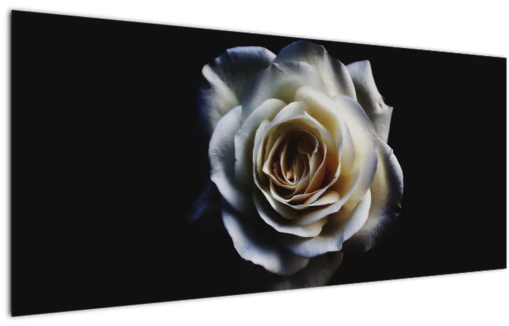 Tablou cu trandafir alb (120x50 cm)