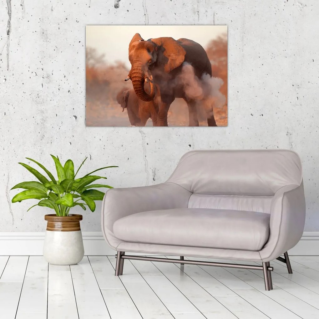 Tablou pe sticlă - Marele elefant african (70x50 cm)