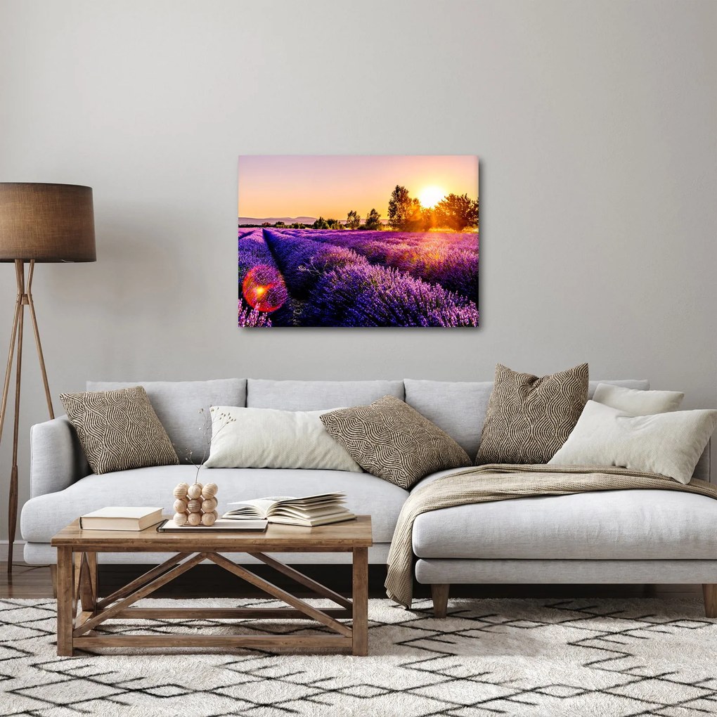 Tablou cu câmp de lavandă (70x50 cm)