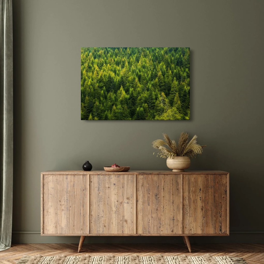 Tablou - Pădure deasă (90x60 cm)