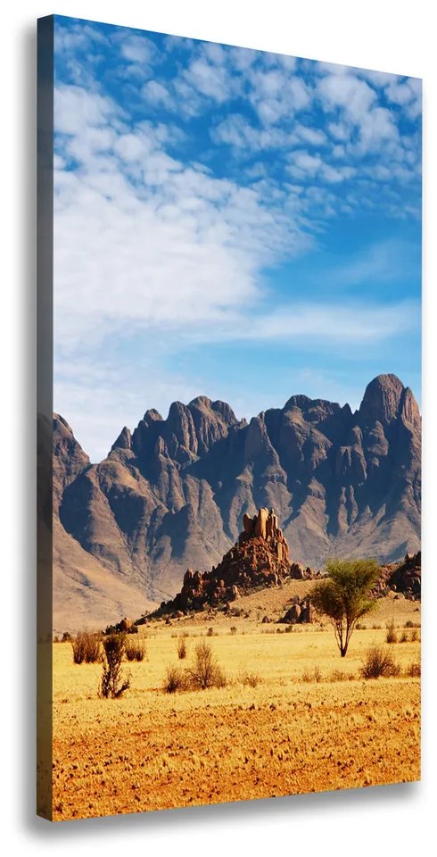 Tablou pe pânză Desert Namibia