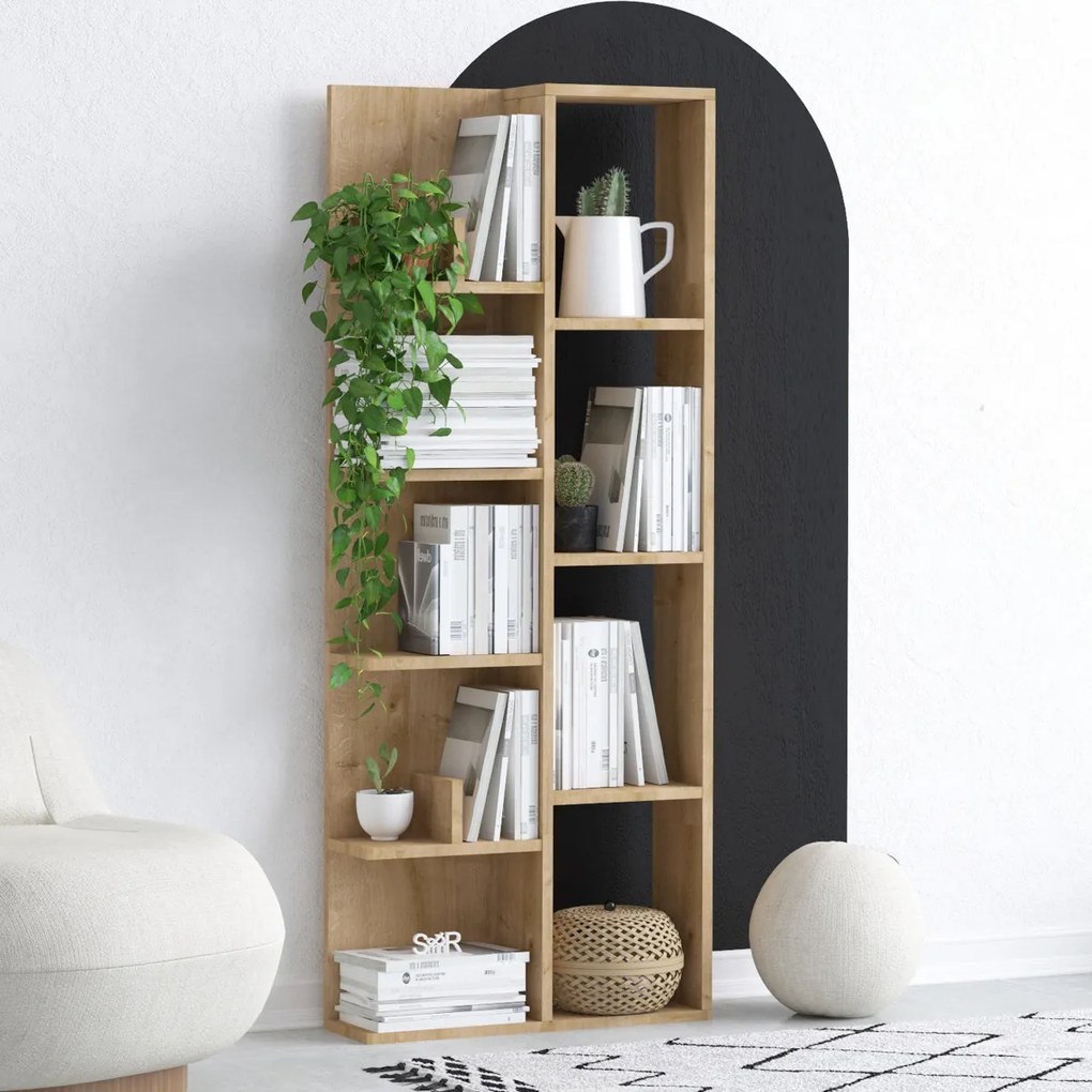Biblioteca Lily