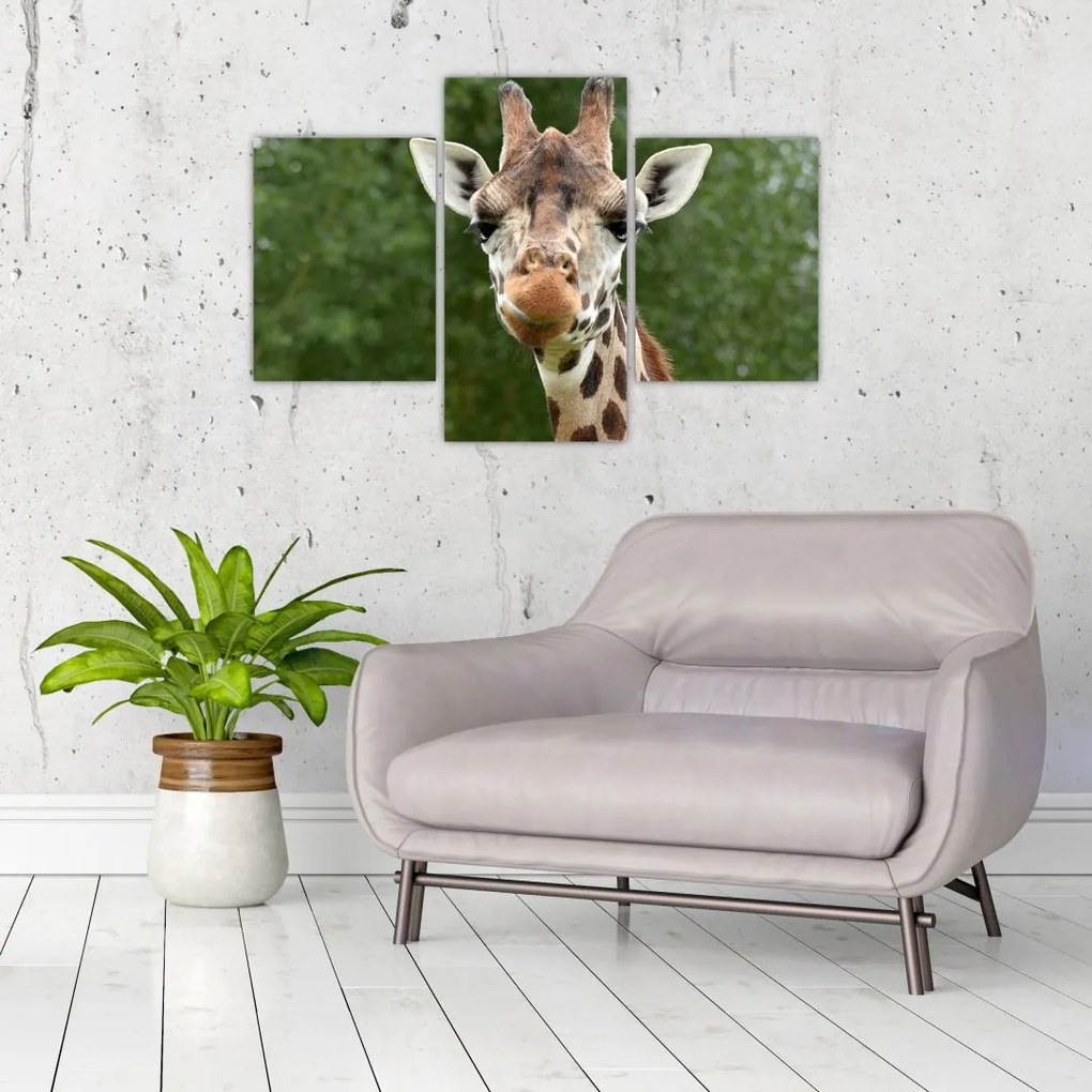 Tablou cu girafa (90x60 cm)