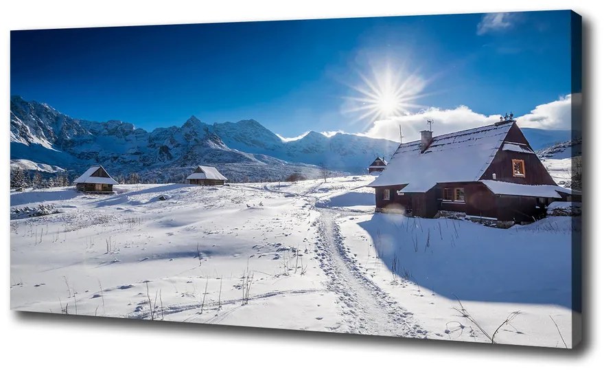 Tablou canvas Hale tatry