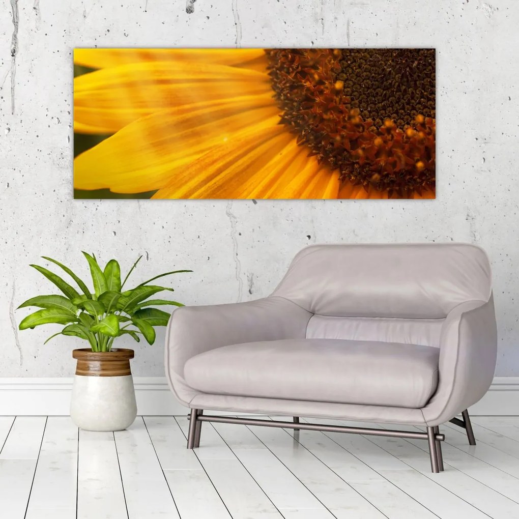 Tablou - Floarea-soarelui (120x50 cm)