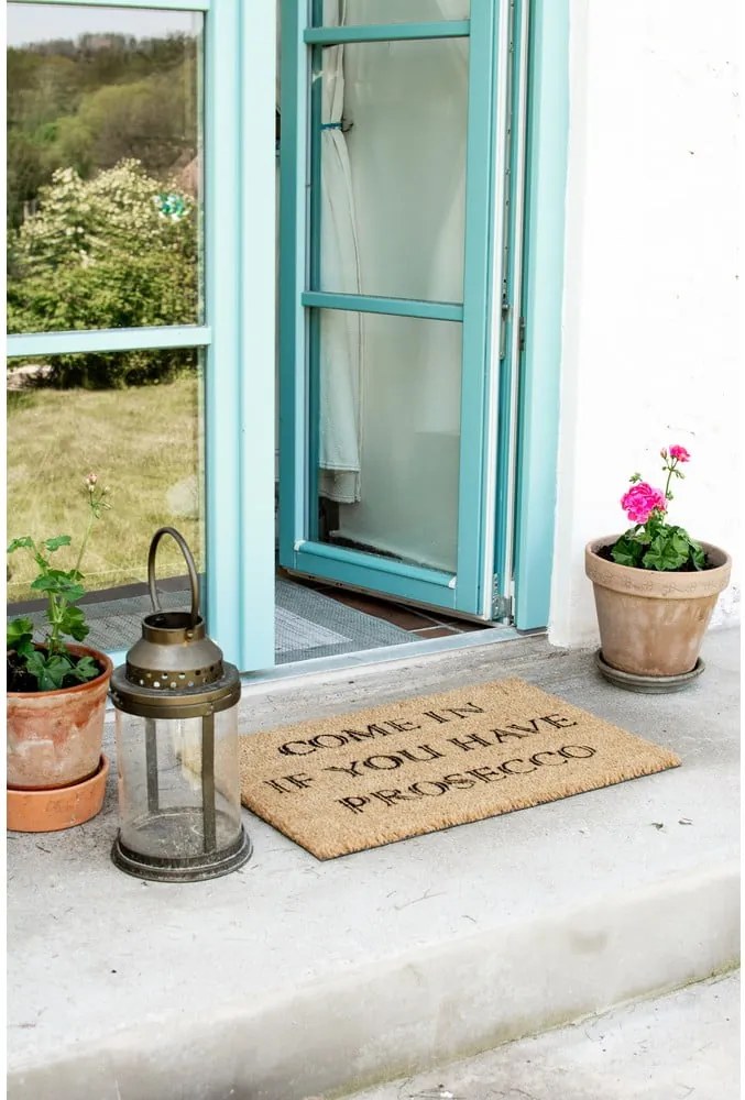 Covoraș intrare din fibre de cocos Artsy Doormats Prosecco, 40 x 60 cm