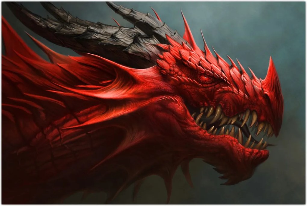 Tablou - Zmeu (90x60 cm)